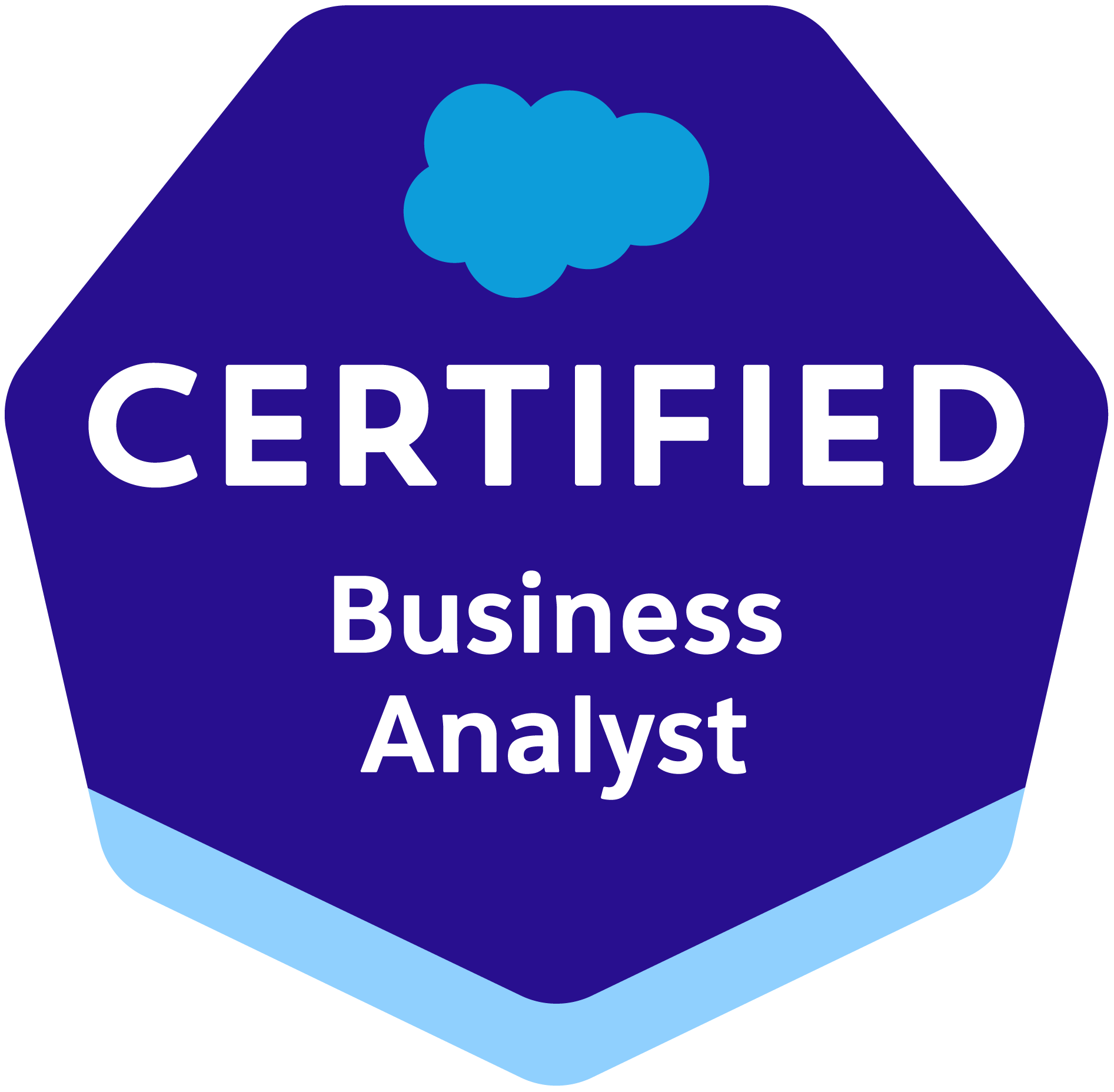 Business Analyst